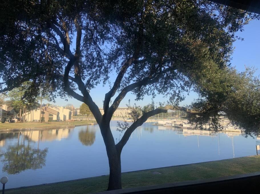 Photo of Others in Walden on Lake Conroe