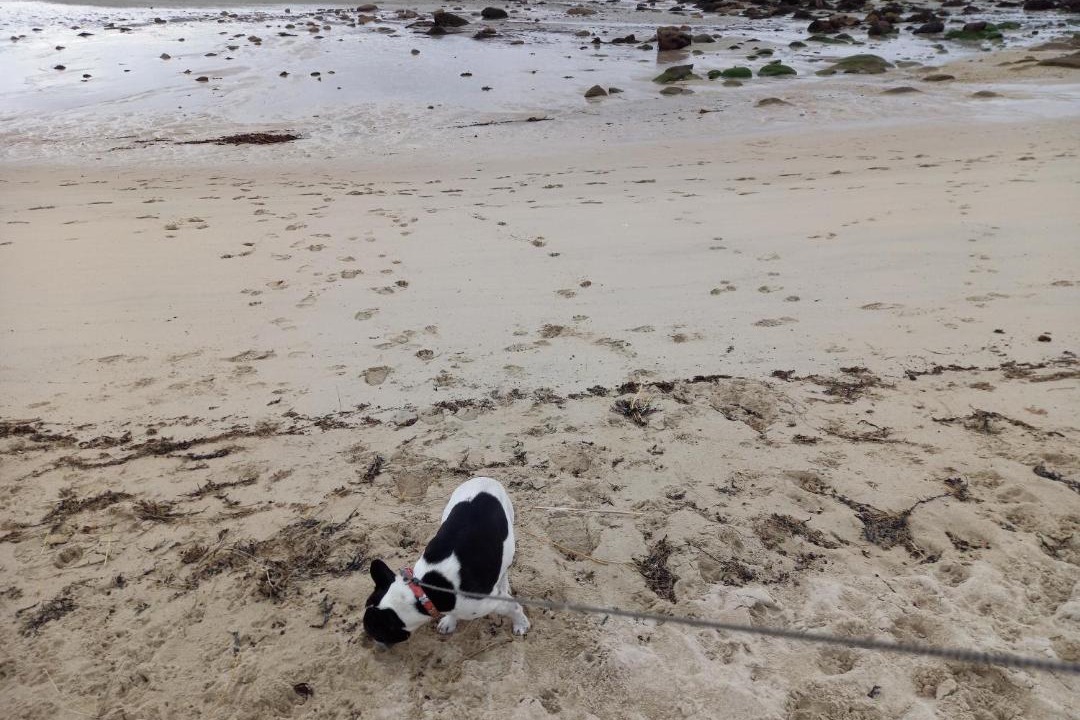 Photo of Outdoor in Pleumeur-Bodou