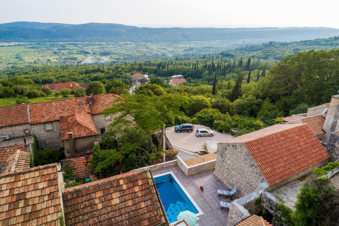Photo of Others in Mihanici