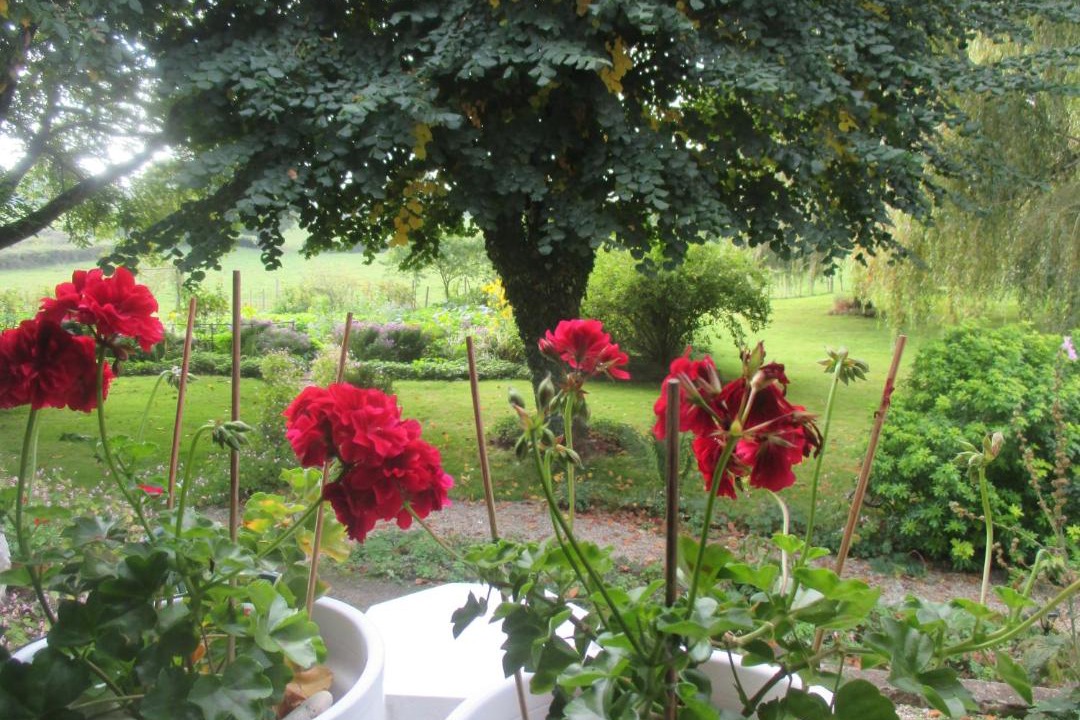 Photo of Others in Val de Gatine