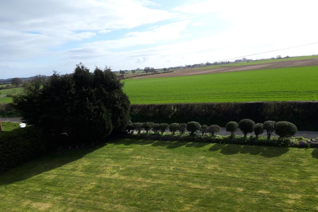 Photo of Others in Halfway House