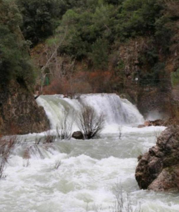 Photo of Others in Coto Rios