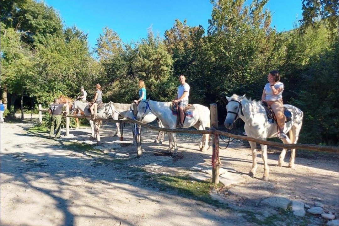Photo of Others in Praskoveyevka