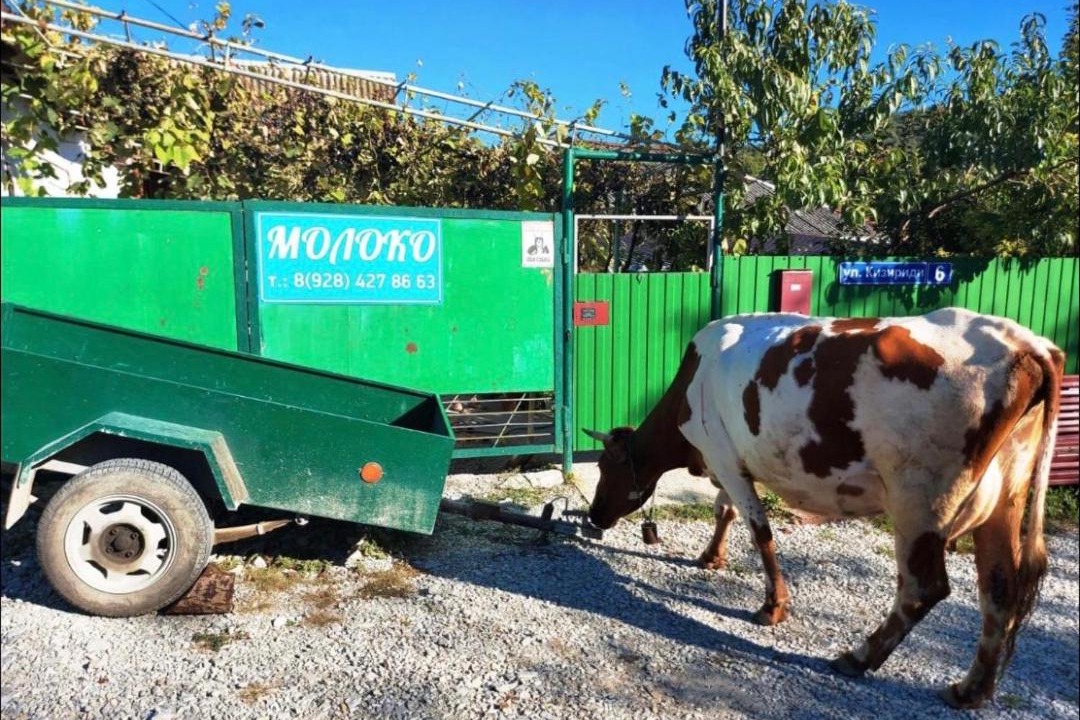 Photo of Others in Praskoveyevka