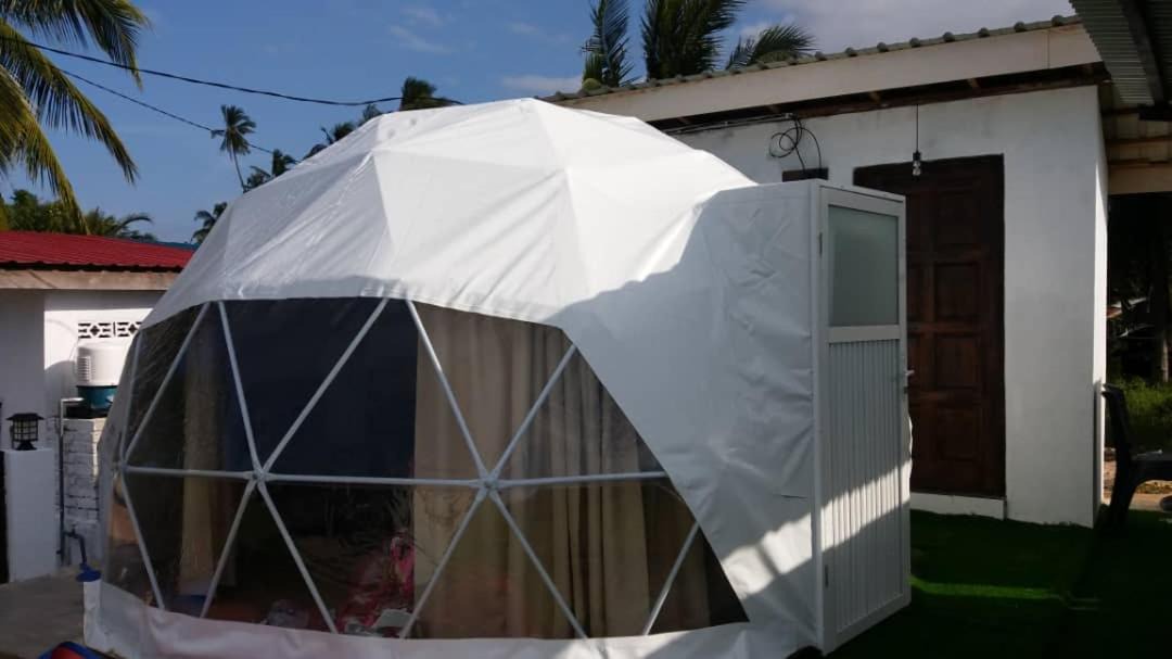 Photo of Buildings in Kampung Semut Api