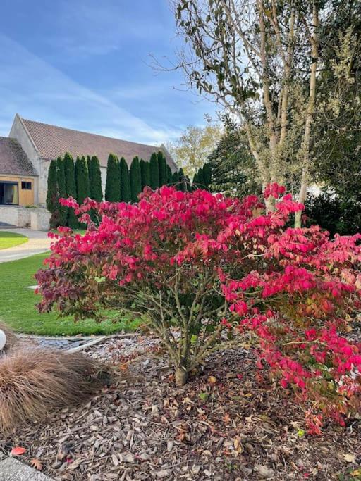 Photo of Outdoor in Le Bu-sur-Rouvres