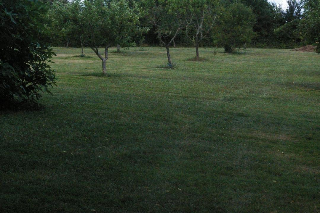 Photo of Others in Lalinde