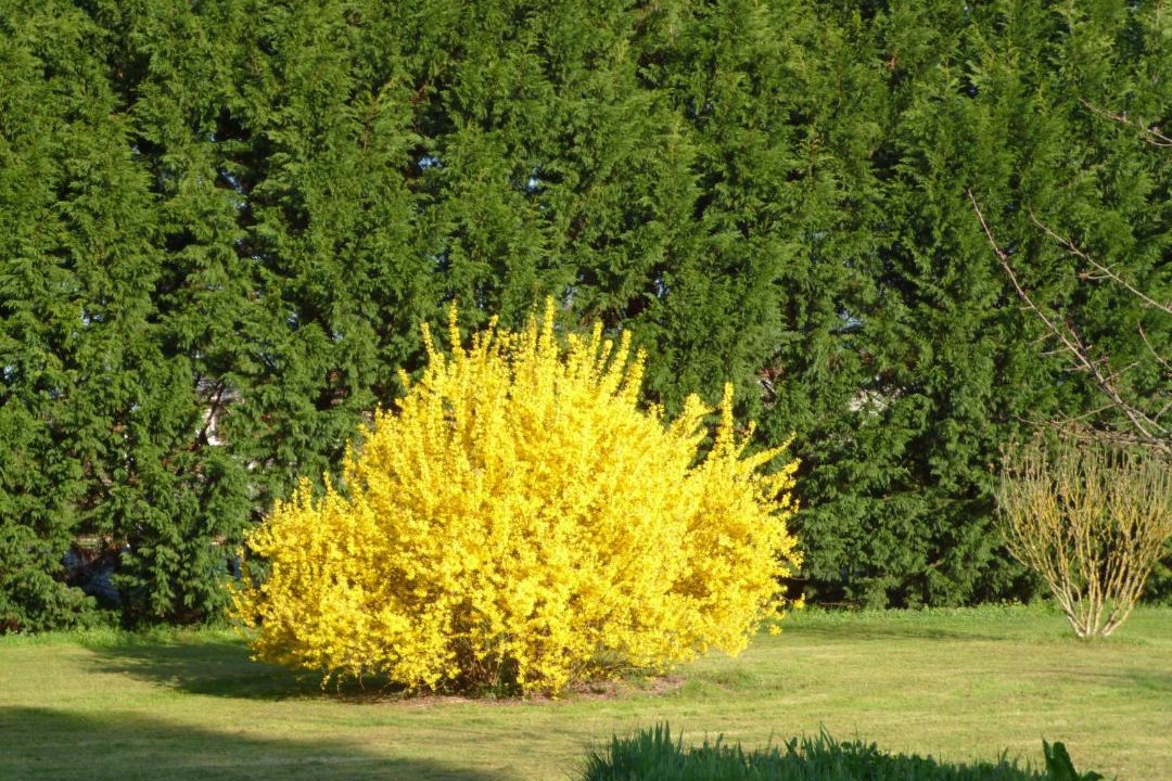 Photo of Others in Le Pizou