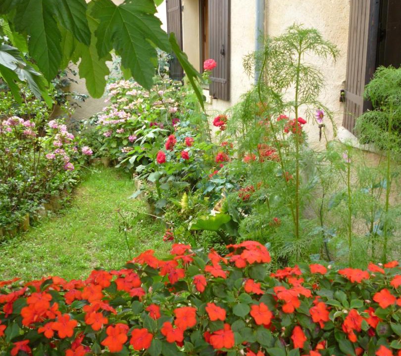 Photo of Others in Le Pizou