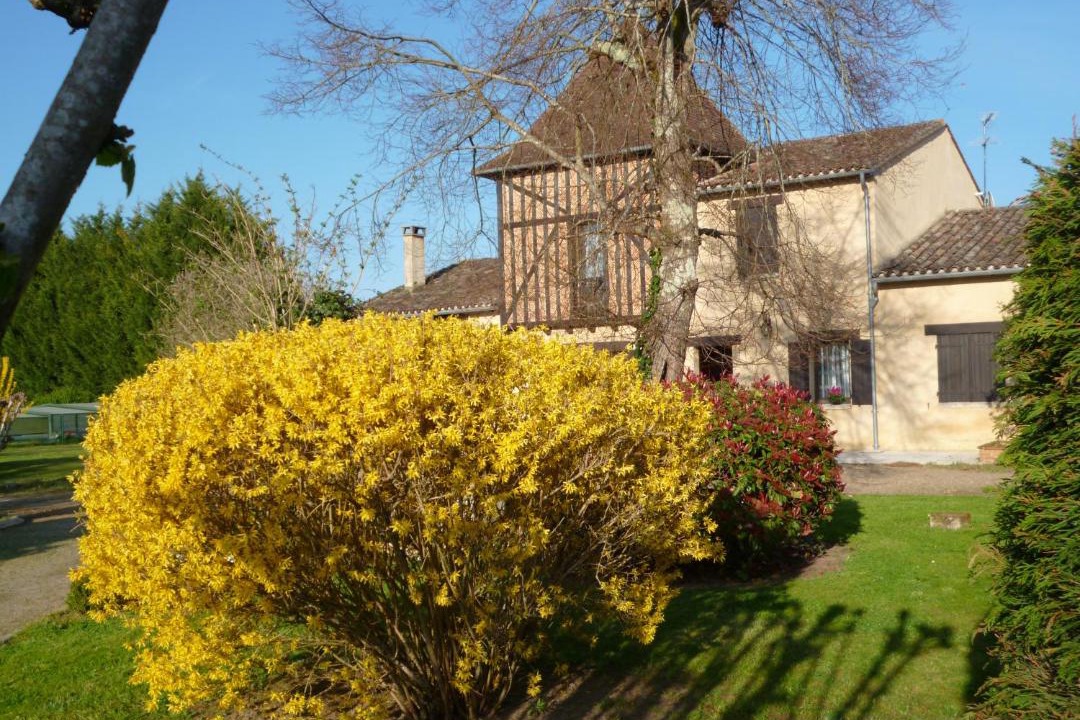 Photo of Others in Le Pizou