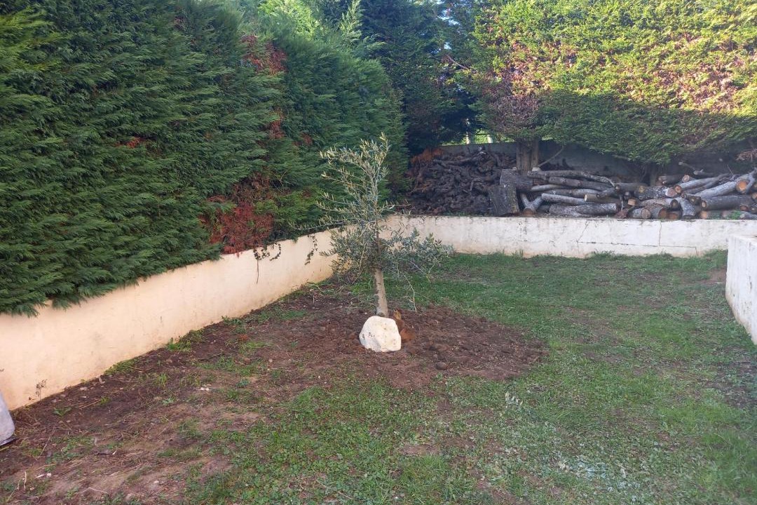 Photo of Others in L'Arbresle