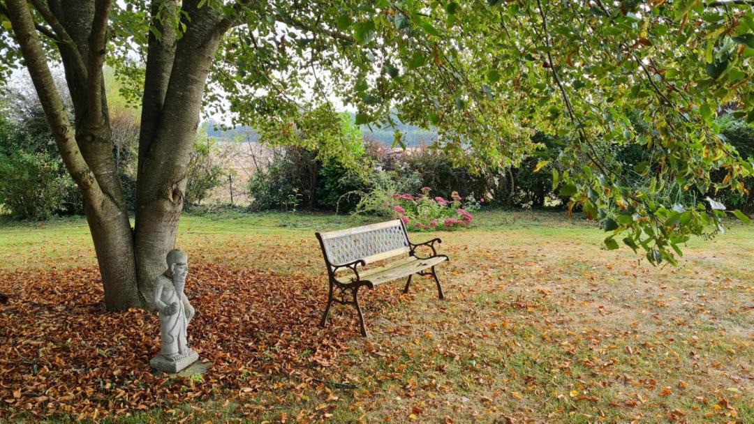 Photo of Others in Yvignac-la-Tour