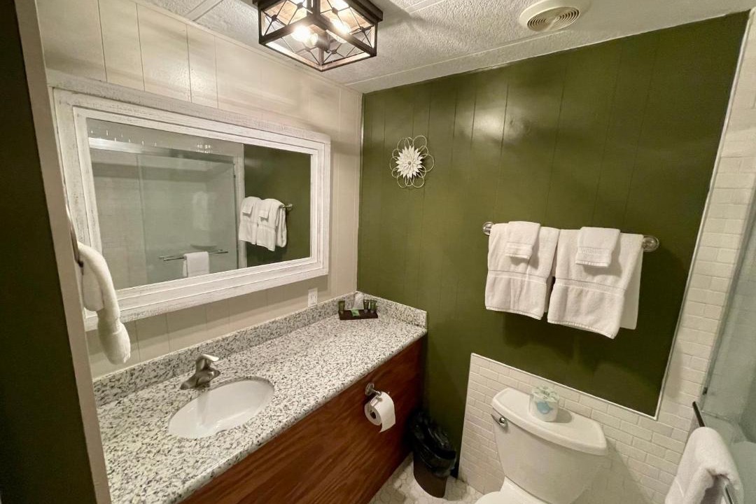 Photo of Others in Cougar