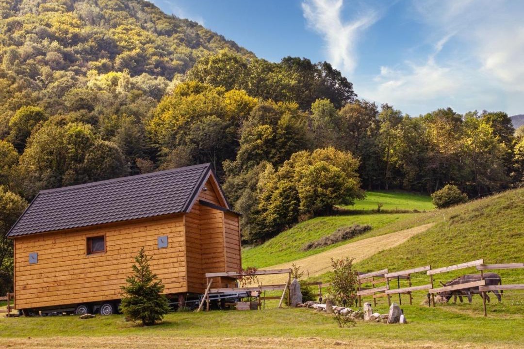 Photo of Others in Segus