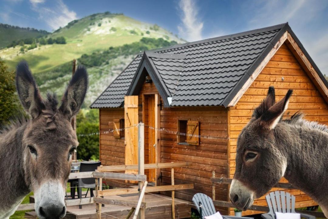 Photo of Others in Segus