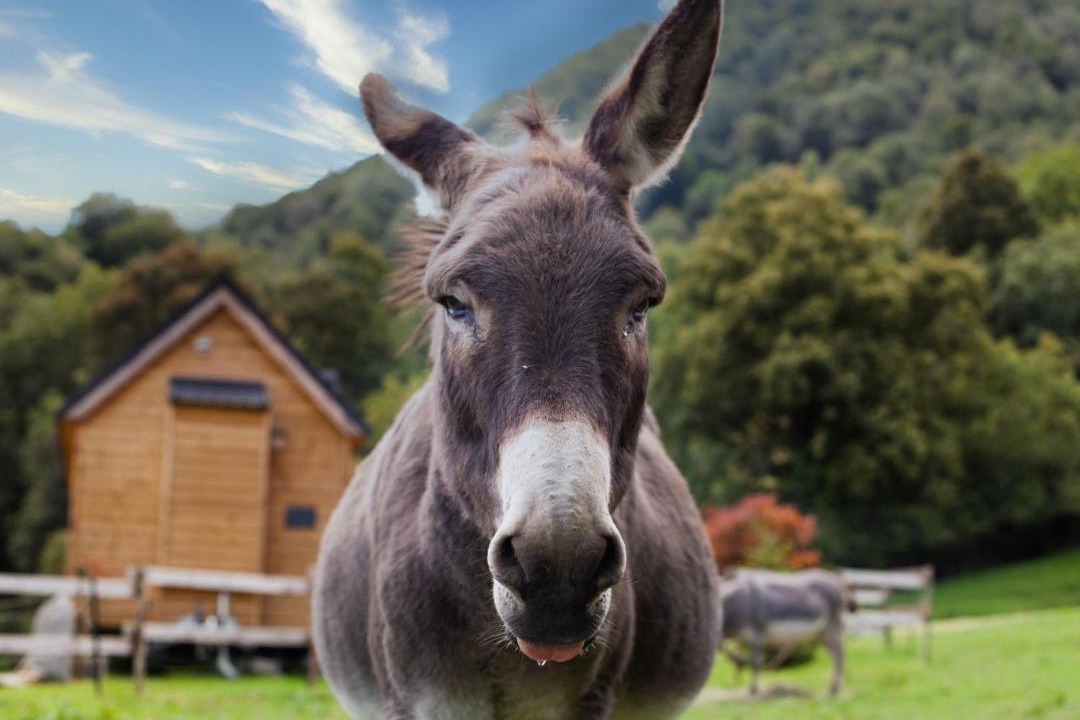 Photo of Others in Segus