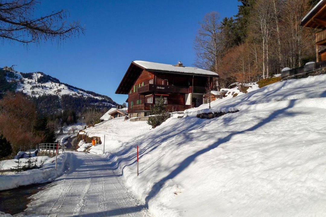 Photo of Others in Wengen