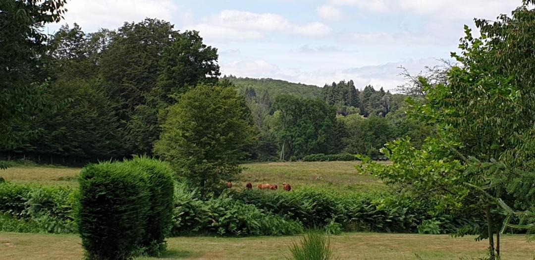 Photo of Others in Neuvic