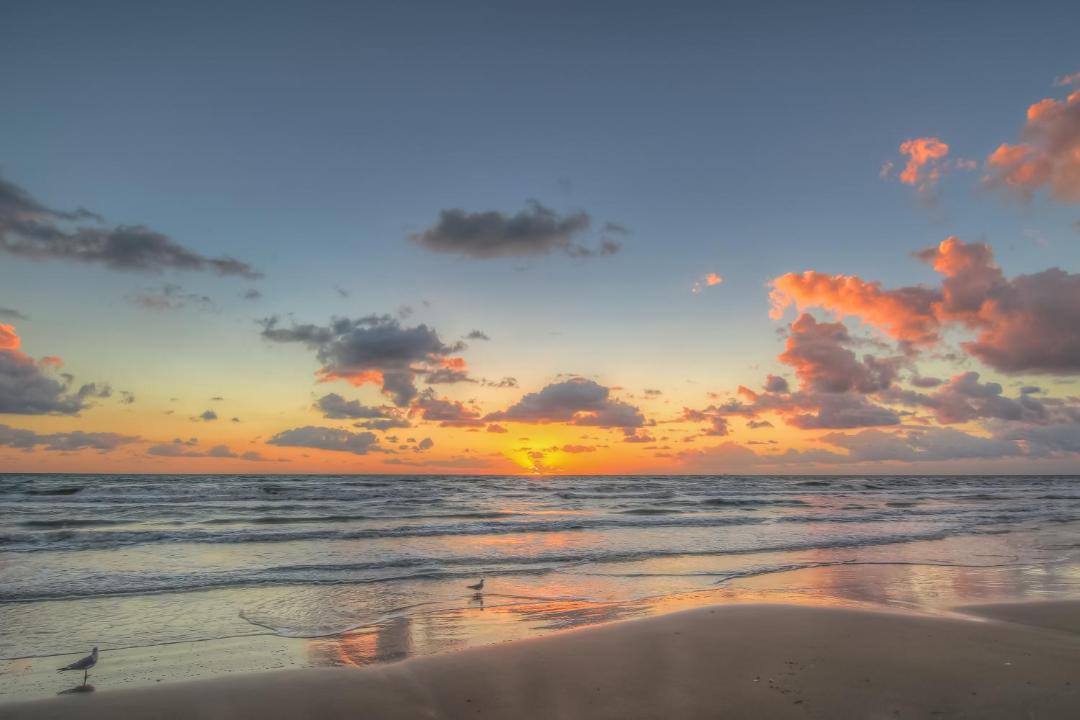 Photo of Others in South Padre Island