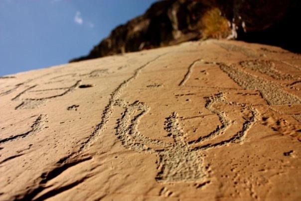 Photo of Others in Belvedere