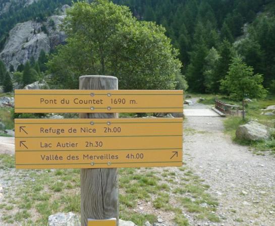 Photo of Others in Belvedere