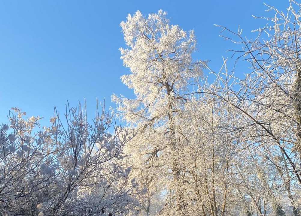 Photo of Others in Moroges