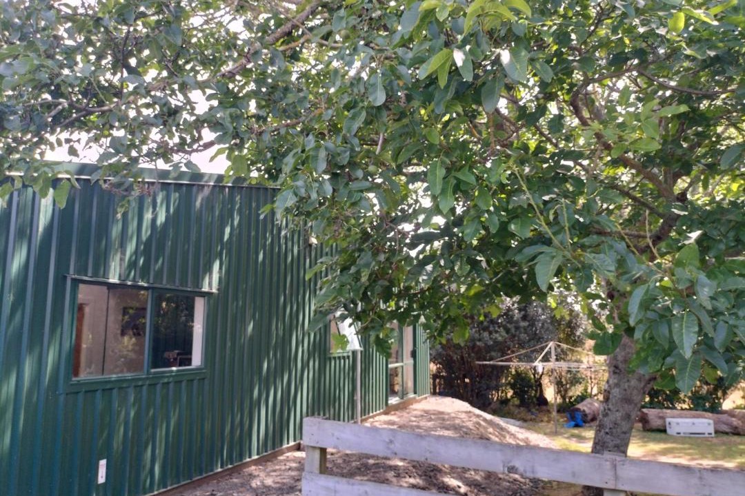 Photo of Others in Te Pahu