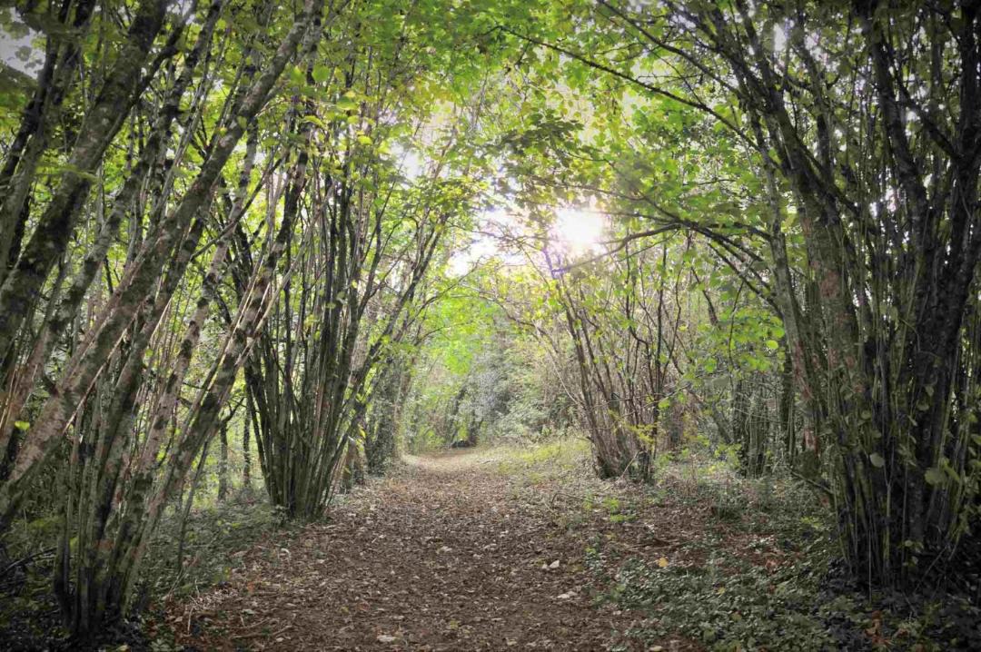 Photo of Outdoor in Okehampton