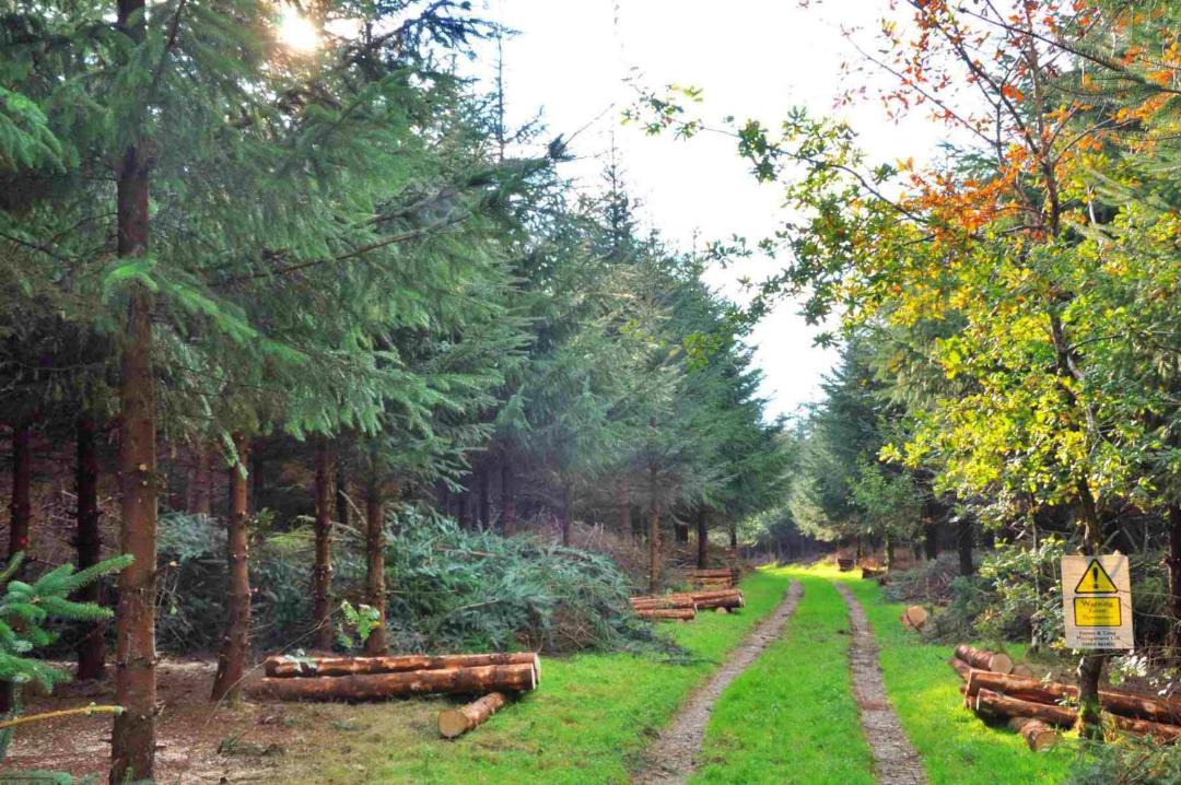 Photo of Others in Okehampton