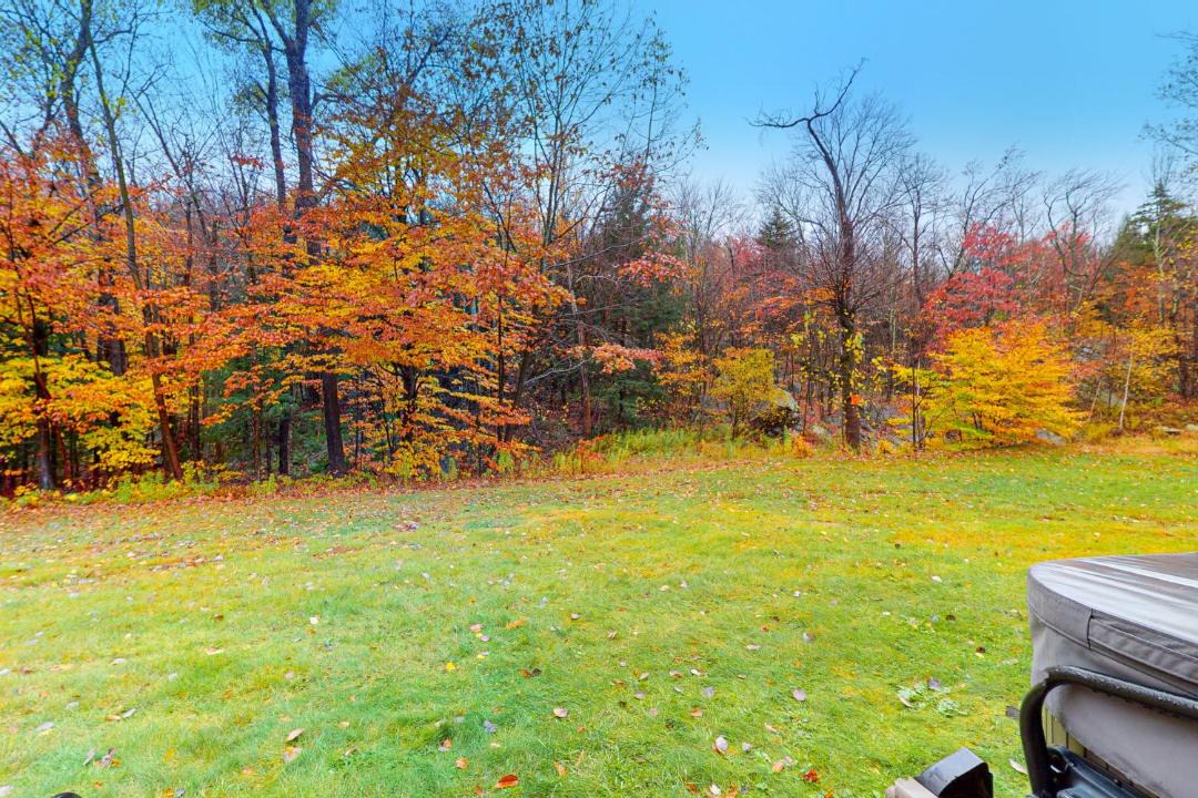 Photo of Others in Ludlow