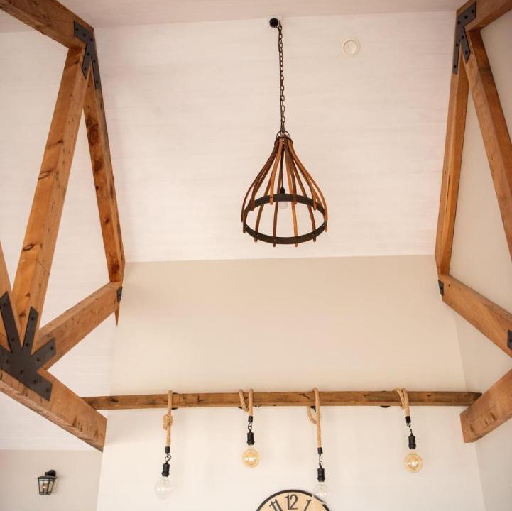 Photo of Others in Kaka Point