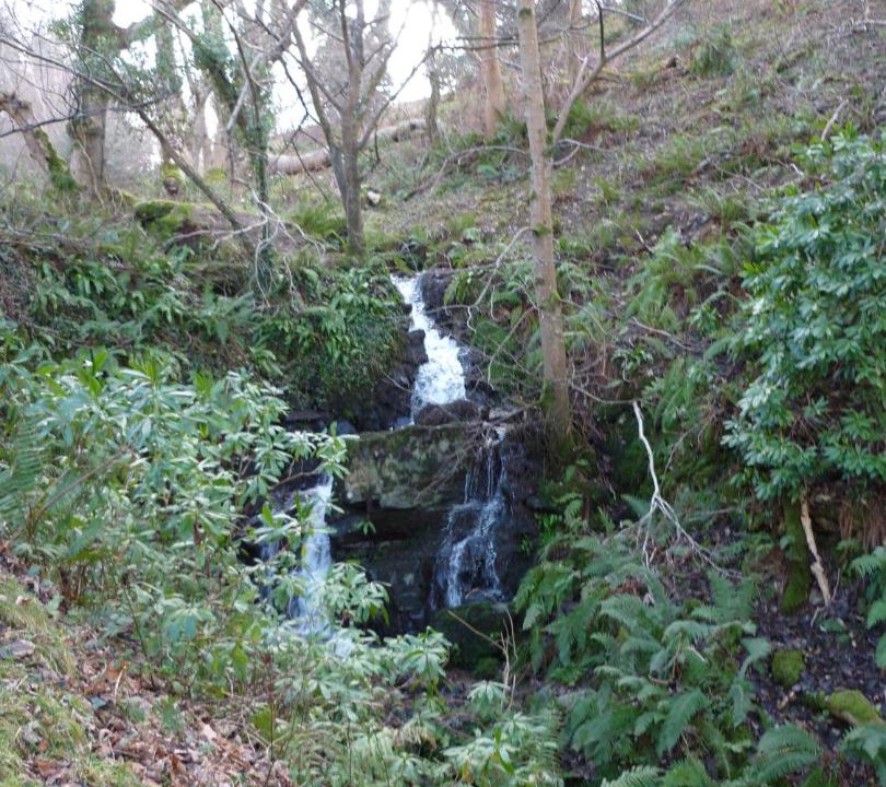 Photo of Outdoor in Porlock
