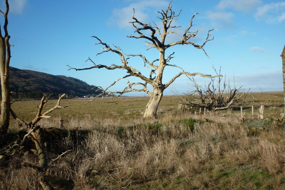 Photo of Outdoor in Porlock