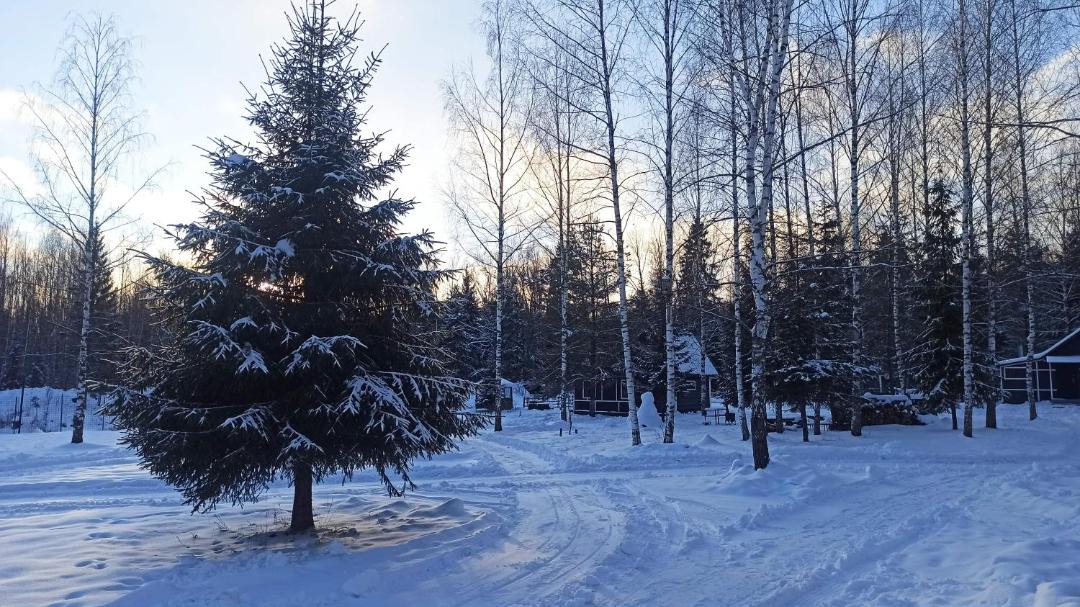 Photo of Others in Myatlevo