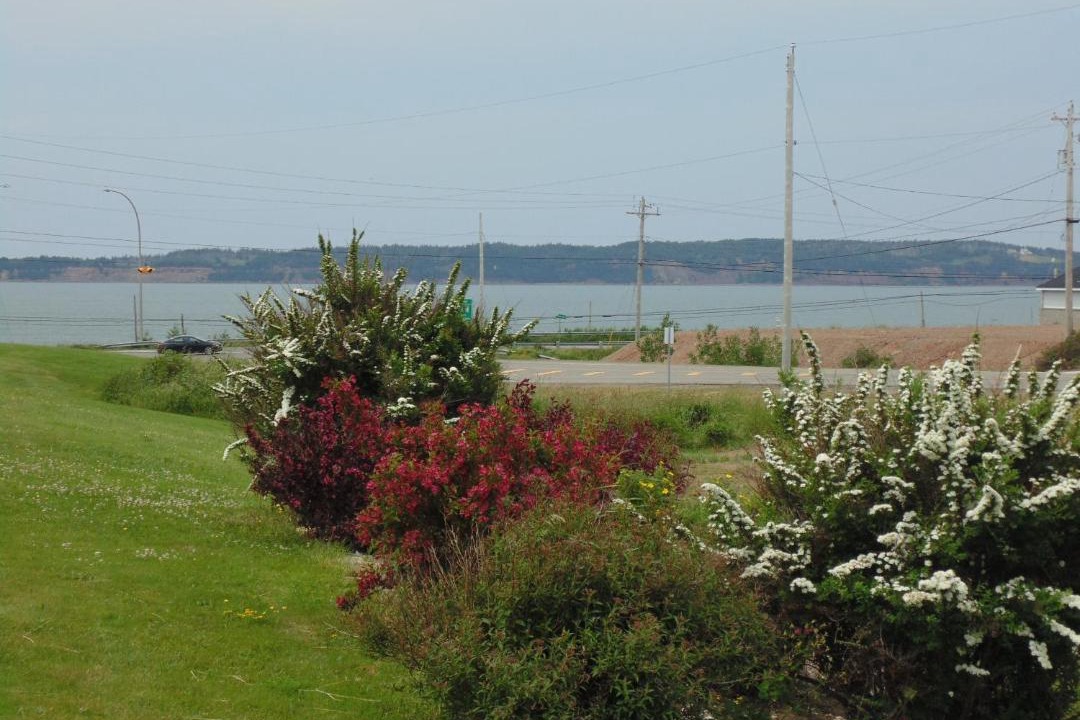 Photo of Others in Port Hood