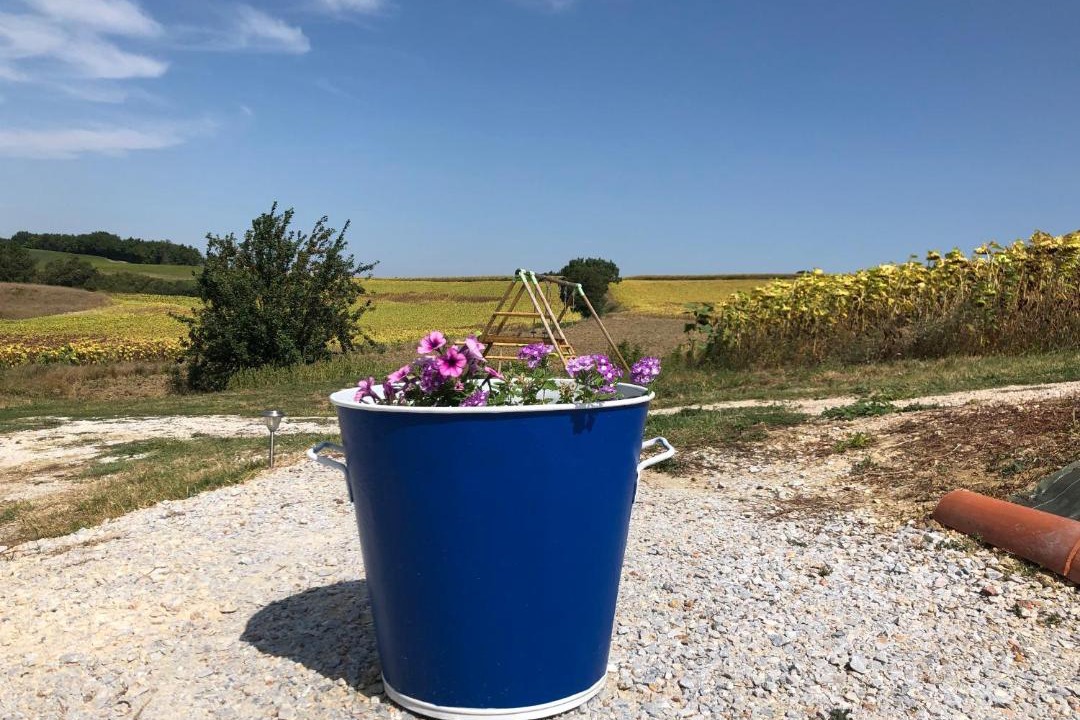 Photo of Others in Puylaurens