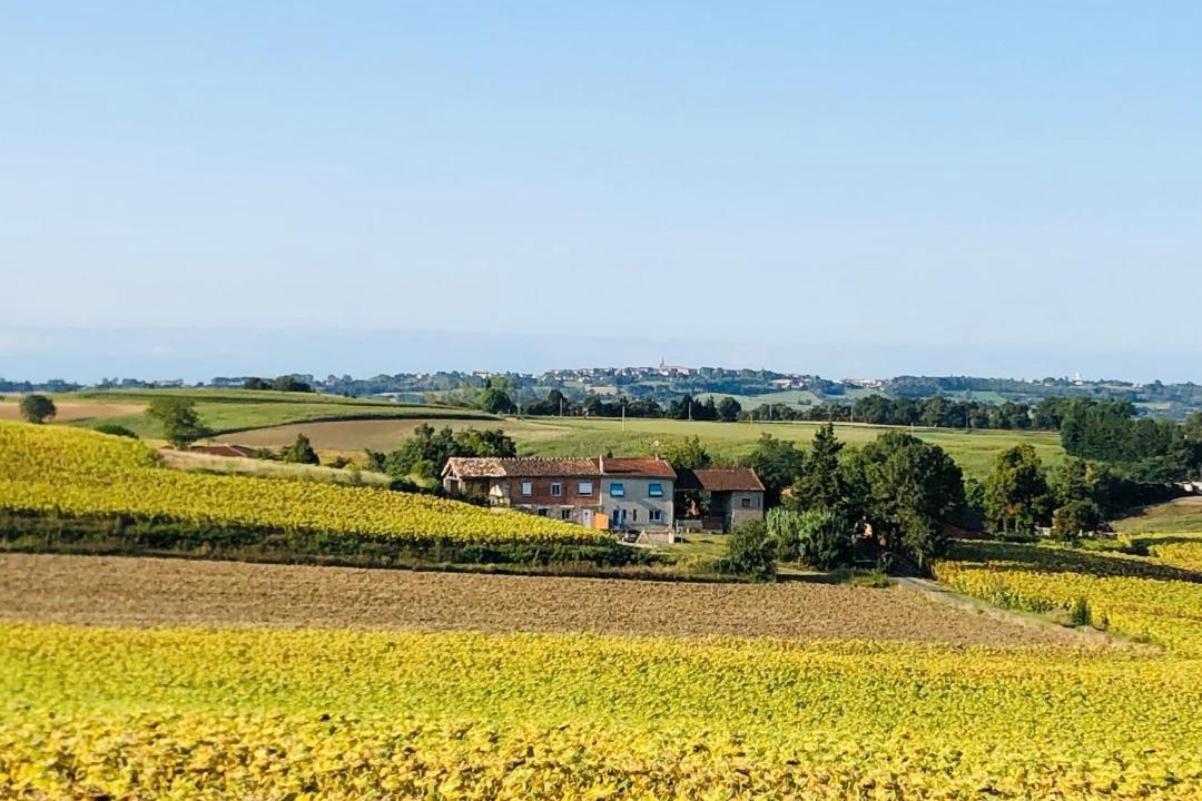 Photo of Others in Puylaurens