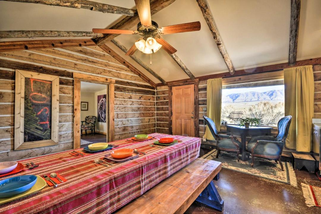 Photo of Others in Shell