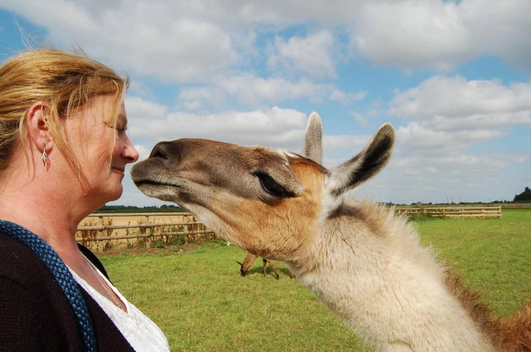 Photo of Others in Wisbech