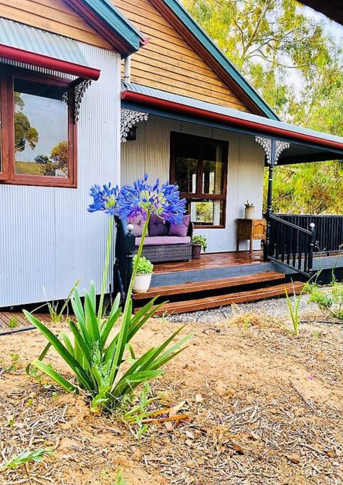 Photo of Others in Gawler South