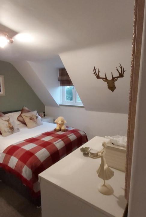 Photo of Others in Holmrook