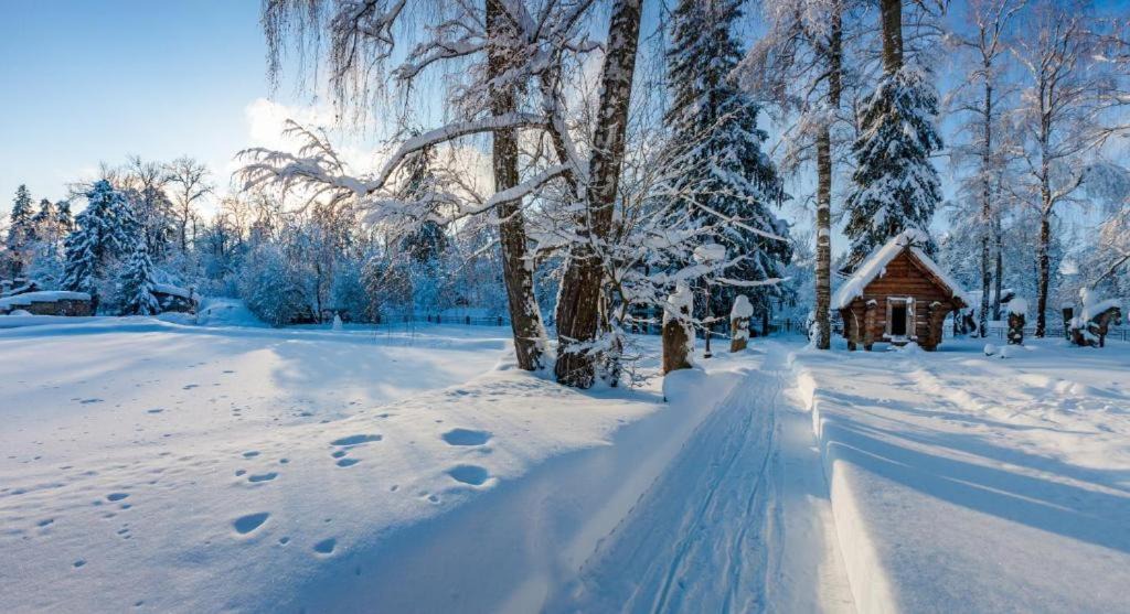 Photo of Outdoor in Zvenigorod