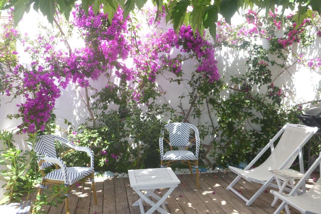 Photo of Others in Calvi