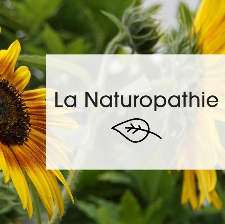 Photo of Others in Chissey-les-Macon