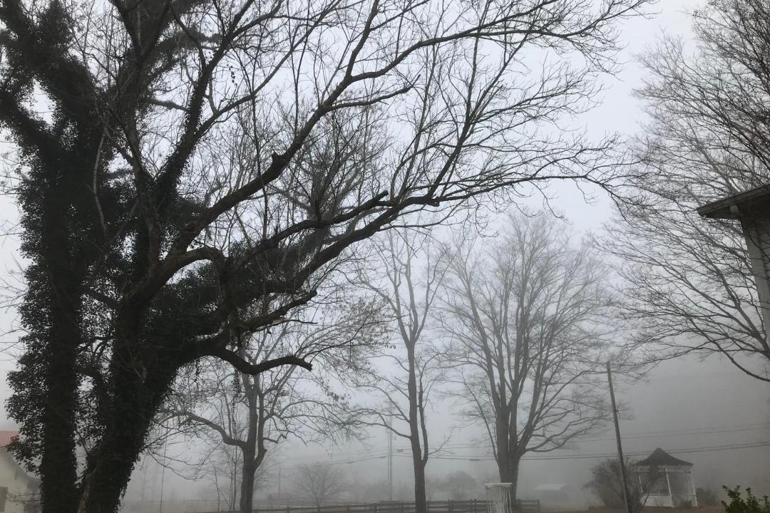 Photo of Others in Red Boiling Springs