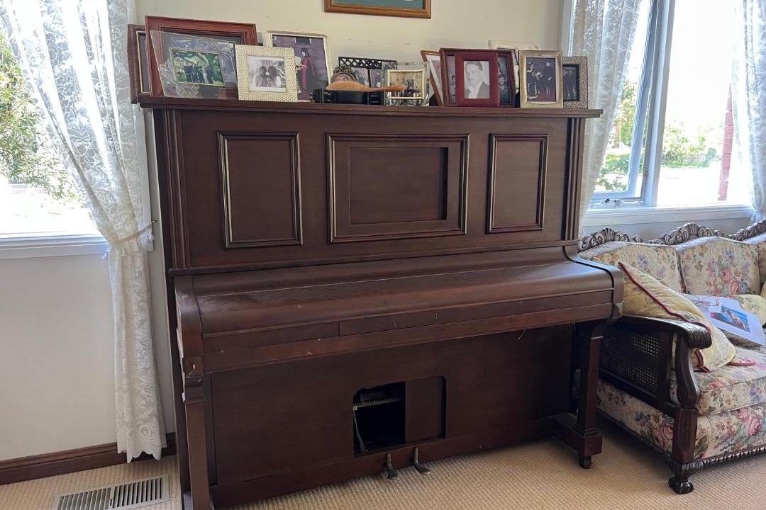 Photo of Others in Dee Why