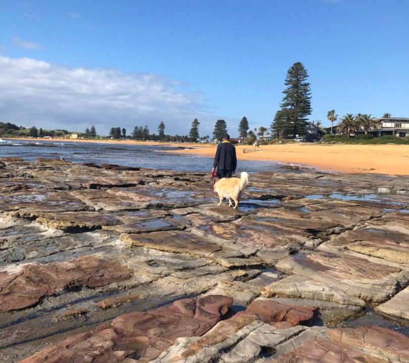 Photo of Others in Dee Why
