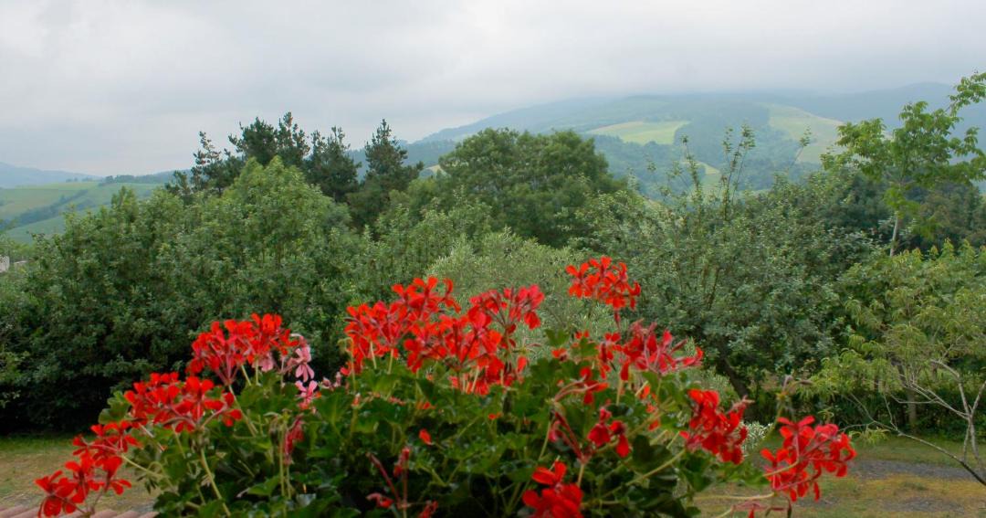 Photo of Others in Olaskoegia