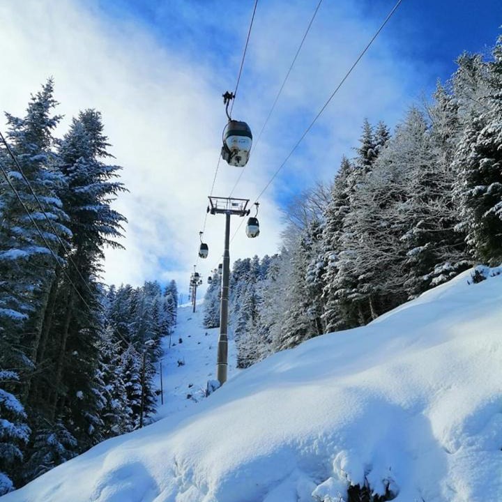 Photo of Others in Saint-Aventin