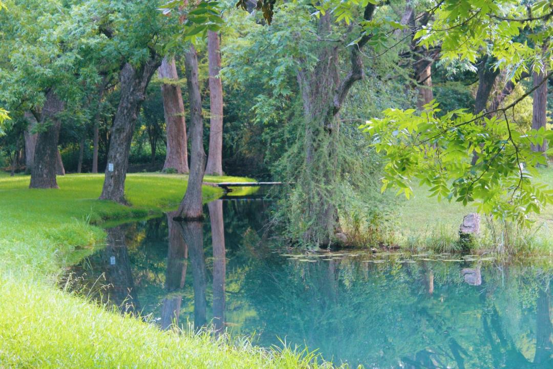 Photo of Others in Leakey